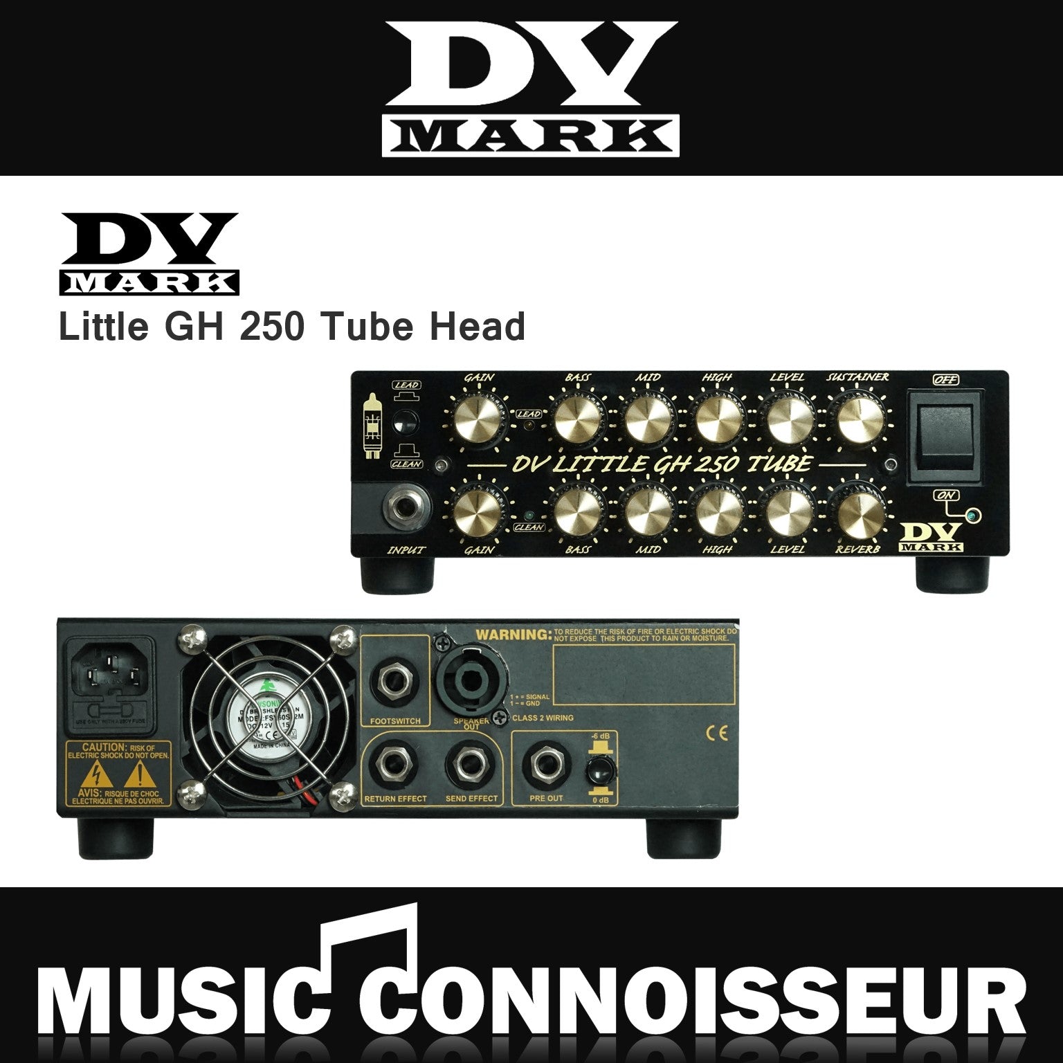 DV Mark Little GH 250 Tube Head – Music Connoisseur Singapore