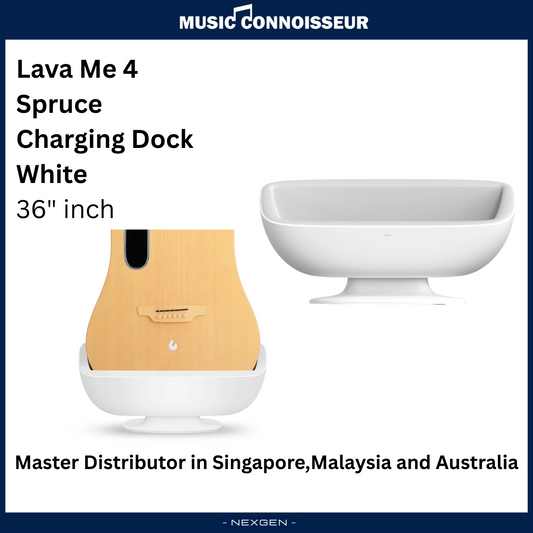 Space Charging Dock for LAVA ME 4 Spruce 36"