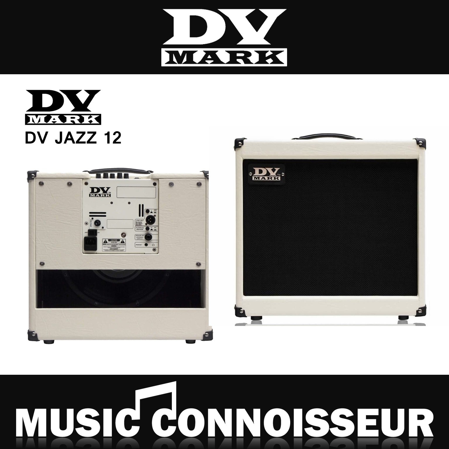 DV Mark Jazz 12 Guitar Combo Amp – Music Connoisseur Singapore