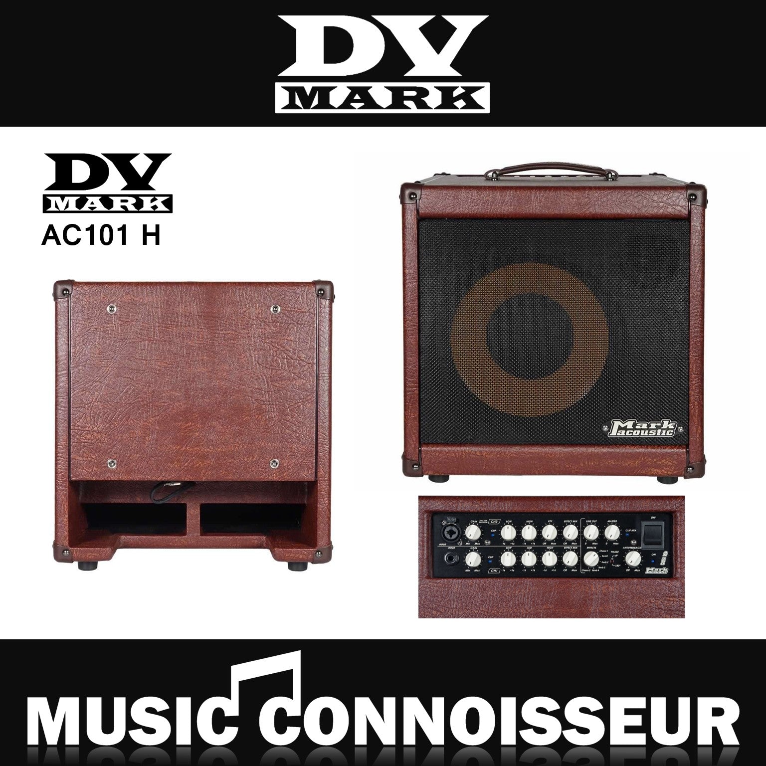 DV Mark AC101 H Acoustic Guitar Amp – Music Connoisseur Singapore