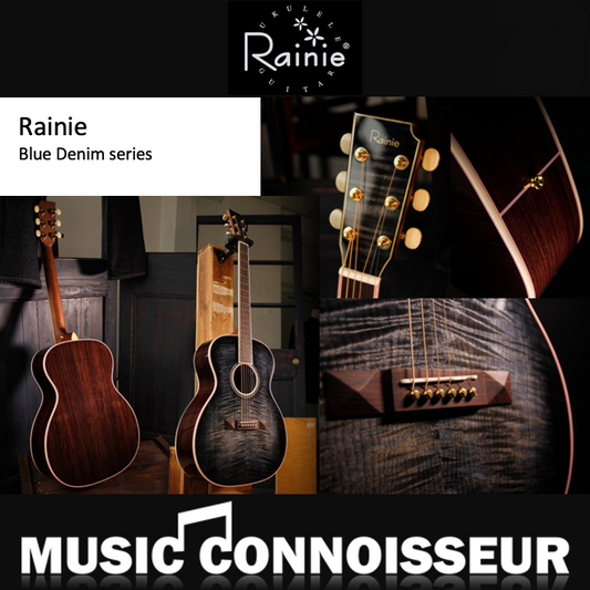 Rainie Denim Acoustic Guitar with Pickup and Hard Case