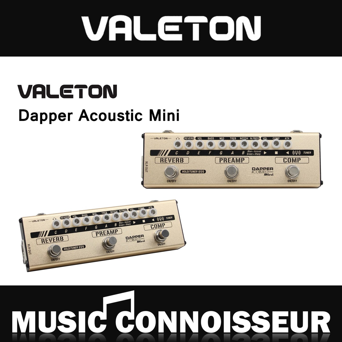 Valeton Dapper Acoustic Mini