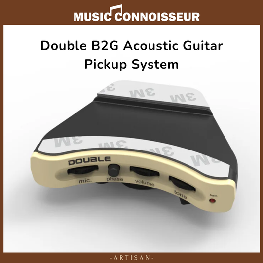 Double B2G Acoustic Guitar Pickup System