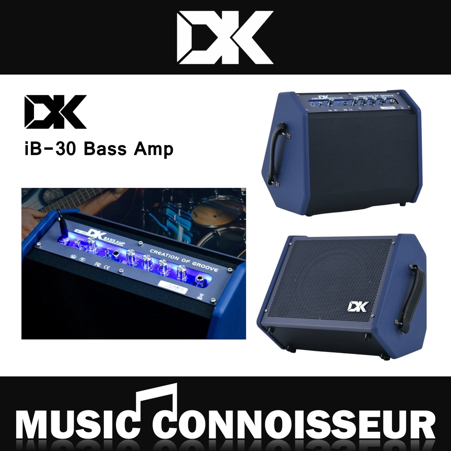 DK iB-30 Bass Amp